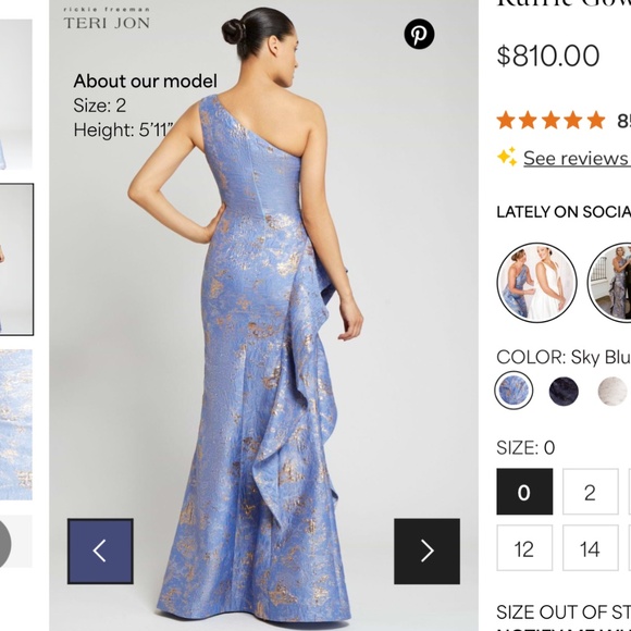 Teri Jon Dress - Mother of the Bride / Mother of the Groom / Black Tie - Picture 3 of 3